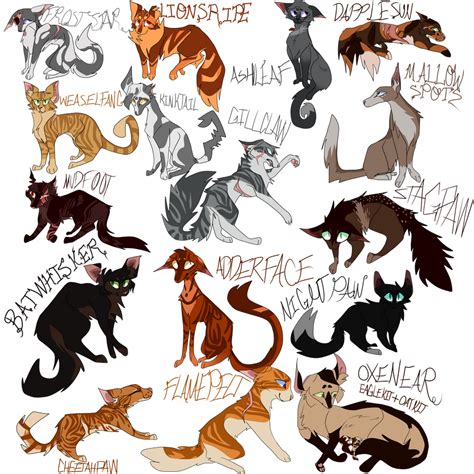 Shadowclan Original Character Sheet By Coffee Stars On Deviantart