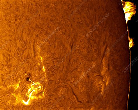 Solar flare - Stock Image - C009/3726 - Science Photo Library