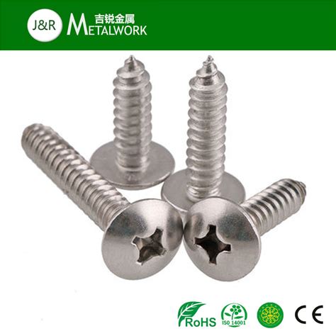 A2 A4 Stainless Steel Truss Head Cross Recess Self Tapping Screw SS304