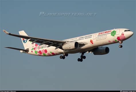 B China Eastern Airlines Airbus A Photo By M Uruuru Id