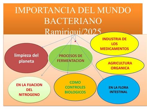 Importancia De Las Bacterias PPT