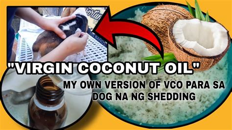 How To Make Natural Virgin Coconut Oil Para Sa Mga Galis At Npapanot Na