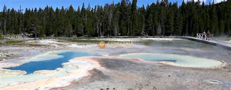 Parque Nacional De Yellowstone Estados Unidos