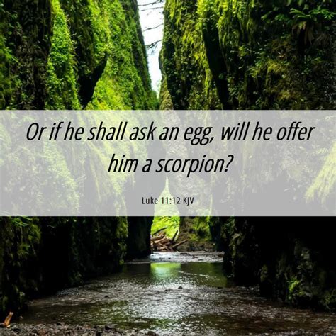 Luke 11:12 KJV - Or if he shall ask an egg, will he offer him a