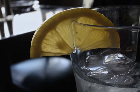 Free picture: fruit juice, lemon, citrus, ice, cold, food, glass, drink ...