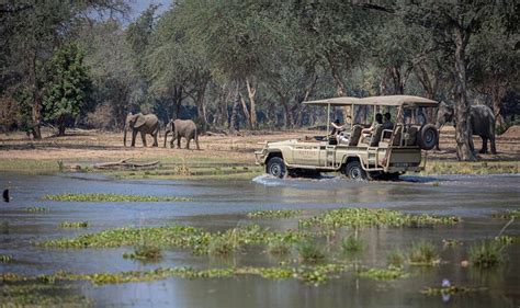 ROYAL ZAMBEZI LODGE - Prices & Reviews (Lower Zambezi National Park, Zambia)