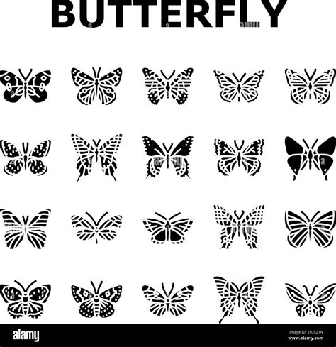 Butterfly Summer Spring Insect Icons Set Vector Stock Vector Image