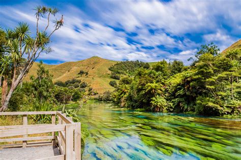 Amalia Bastos Photography Te Waihou Walkway