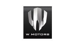 W Motors Car Models List | Complete List of All W Motors Models