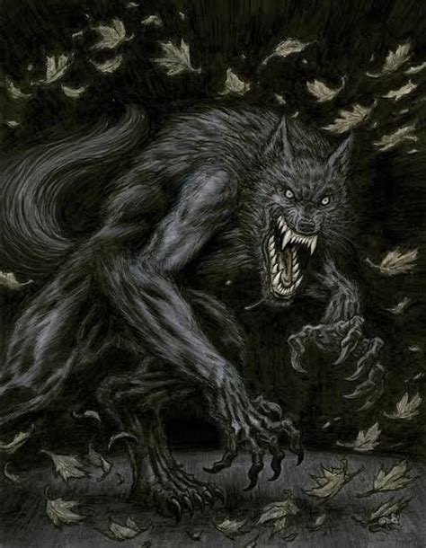 Pin By Mcarv On Werewolf Werewolf Art Werewolf Werewolf Hunter