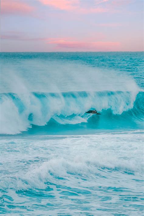 10 Best Beaches on Oahu North Shore | Simply Wander