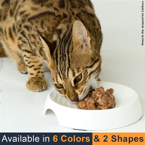 NEW! CatGuru Premium Cat Bowl, Cat Food Bowl for Relief of Whisker Fatigue, Wide | eBay