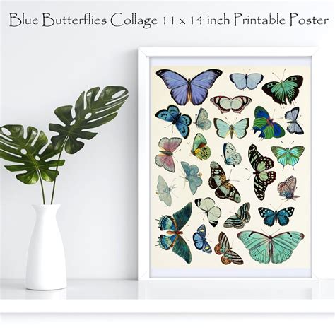 Printable Blue Butterflies Wall Art Colorful Butterfly Collage