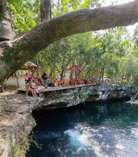 Cenote Jardin del Eden (Playa del Carmen): Guide + Tips