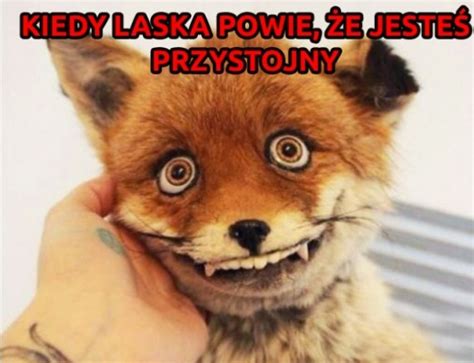 Kiedy laska powie że jesteś przystojny MH24 PL Humor śmieszne