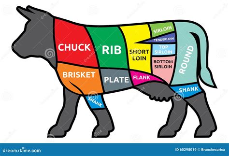 Cuts Of Beef Stock Illustration Illustration Of Domestic 60298019