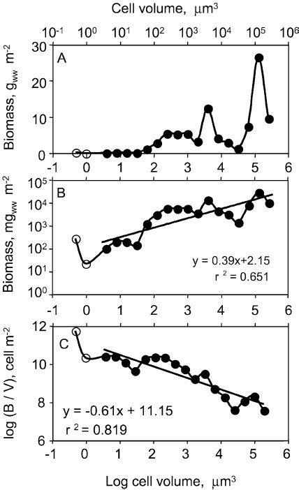 A The General Pattern Of Kinneret Phytoplankton Depth Integrated