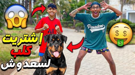 واخيرا اشتريت لسعدوش كلب جديد💰🔥تصدمت فيه في الاخير😱💔 Youtube