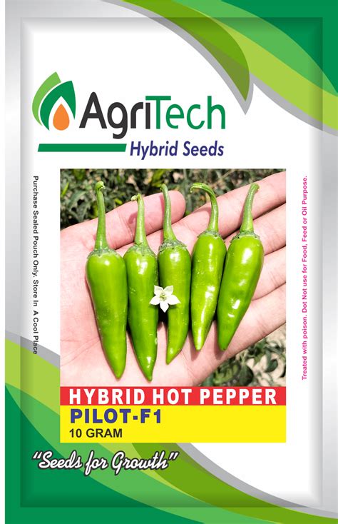 Pilot F1 Hybrid Hot Pepper Seed Agritech Agritech Seeds