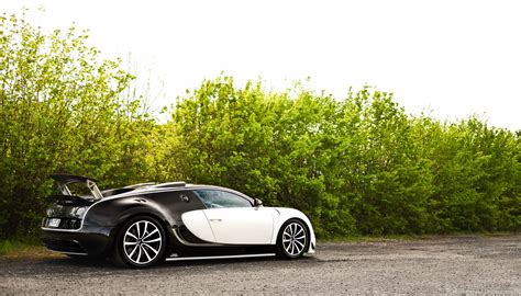 Panda Colored Bugatti Veyron Mansory Vivere Is One Of Two Carscoops