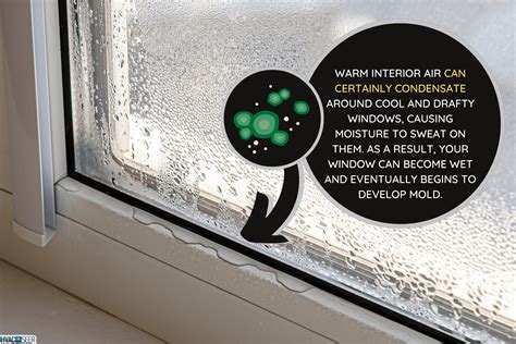 Does Condensation On Windows Cause Mold? - HVACseer.com