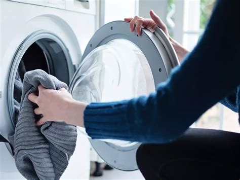 How To Clean A Washing Machine After Bed Bugs Storables