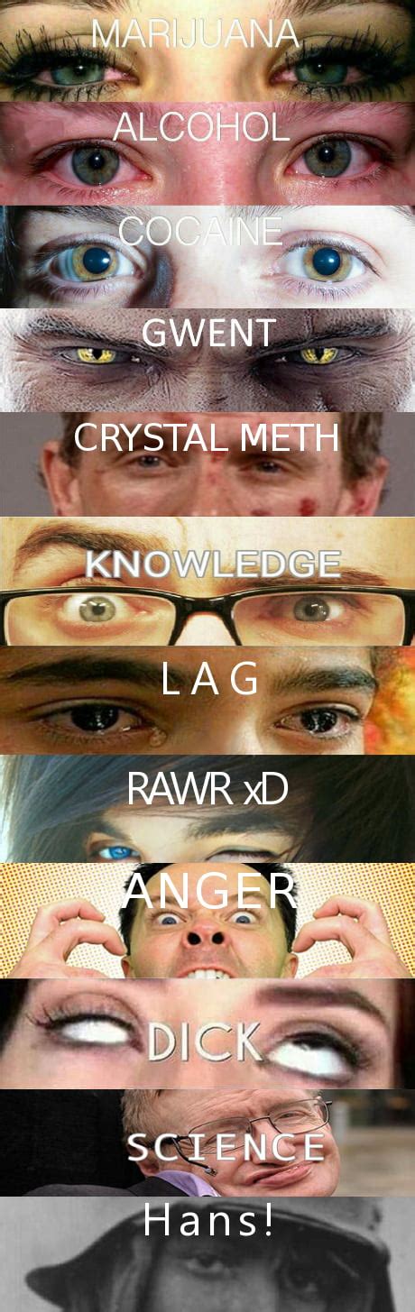 Here´s The Ultimate Rawr Xd 9gag