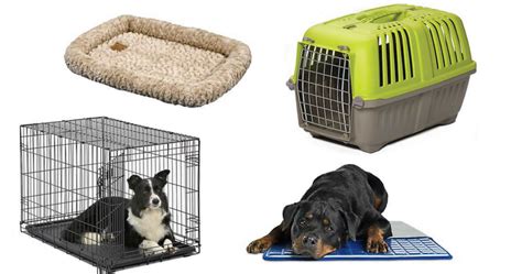 Petco: 75% Off + Extra 10% Off Pet Crates, Kennels and Accessories ...