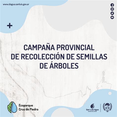 Comienza La Campa A De Recolecci N De Semillas De Rboles Agencia De