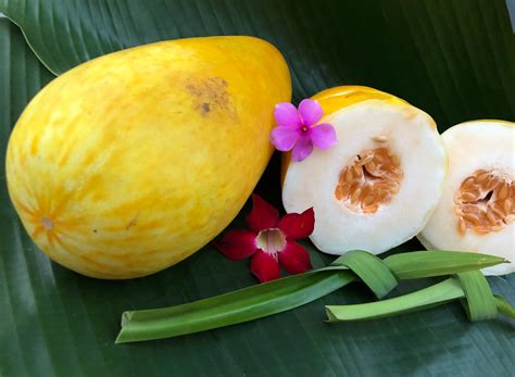 Manfaat Timun Suri Si Buah Favorit Berbuka Puasa Hello Sehat