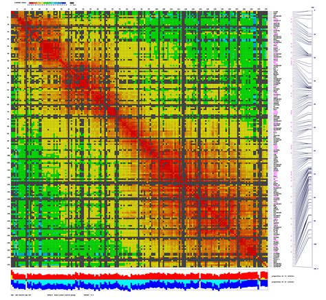 Genetic Map Matrix Plot