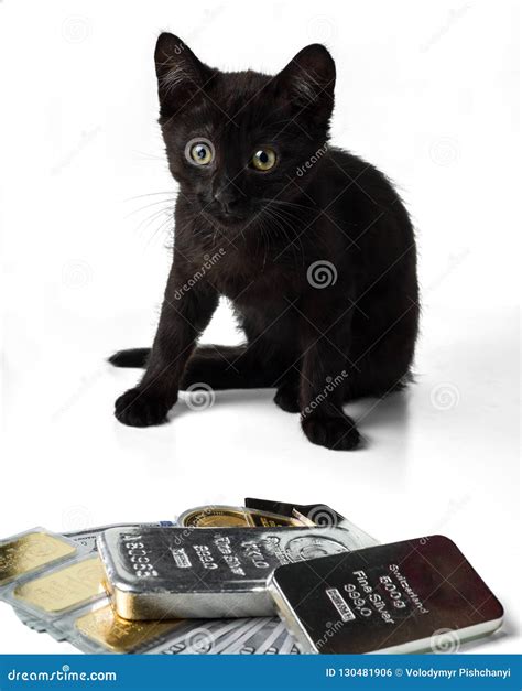Rich Kitten. a Black Kitten Sits Near Gold and Silver Bars and Coins