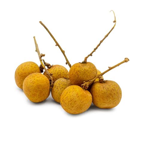 LONGAN - 龙眼