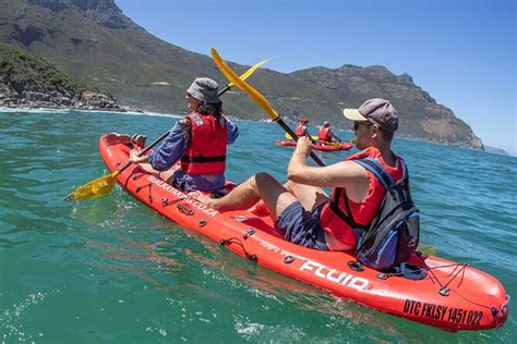 Guided Kayaking Adventure With Marine Life In Hout Bay Cape Town