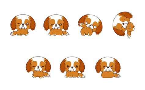 Conjunto De Cachorros De Shih Tzu Isolados De Kawaii Cole O De