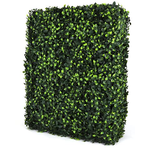 Rectangle Gardenia Hedge Wall – 3rd Street Inn Greenery