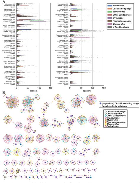 Figure 2 from A catalog of tens of thousands of viruses from human ...