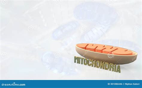 Mitochondria The Powerhouse Of The Cell. Generative AI Royalty-Free Stock Photography ...