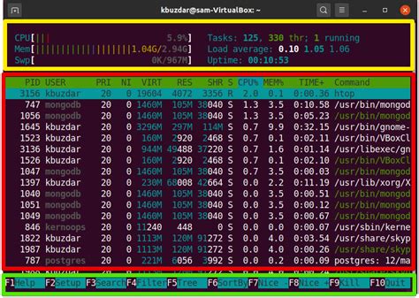 How To Use Htop To Monitor System Processes In Ubuntu 2004 Vitux