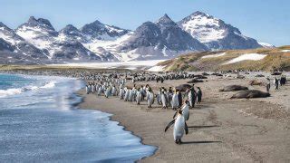 James Cook Le Pionnier Terra Antarctica Agence De Voyages Croisi Res