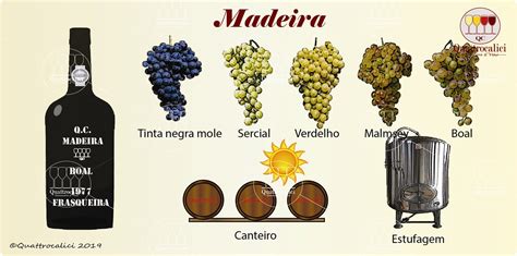 Vini Spumanti E Frizzanti Quattrocalici