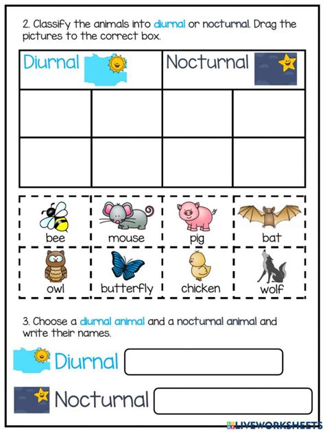 Day And Night Printable Worksheets 159 Lyana Worksheets