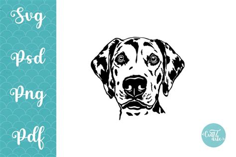 Dalmatian Svg Cut File Dalmatian Svg Design