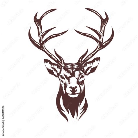 Stylized Deer Head Vector Illustration Vector De Stock Adobe Stock