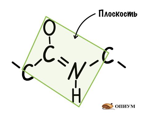 Пептидная связь. — Курсы ОПИУМ