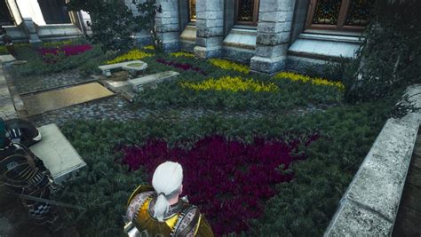 Gardening With Geralt Understanding The Witcher 3s Lore Through Its