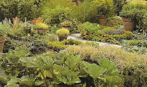 El Abc De Las Plantas Online Jardin De Hierbas Aromaticas