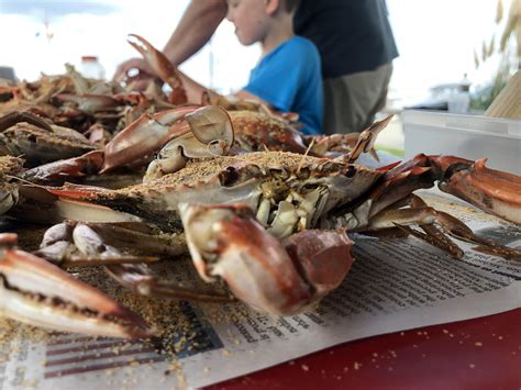 Maryland life : r/maryland