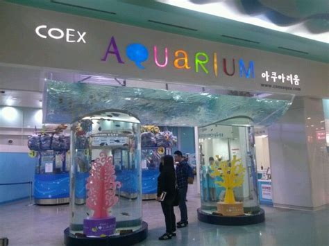 코엑스 아쿠아리움 COEX Aquarium Korea travel Aquarium Seoul