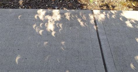 Eclipses Make Cool Shadows Imgur